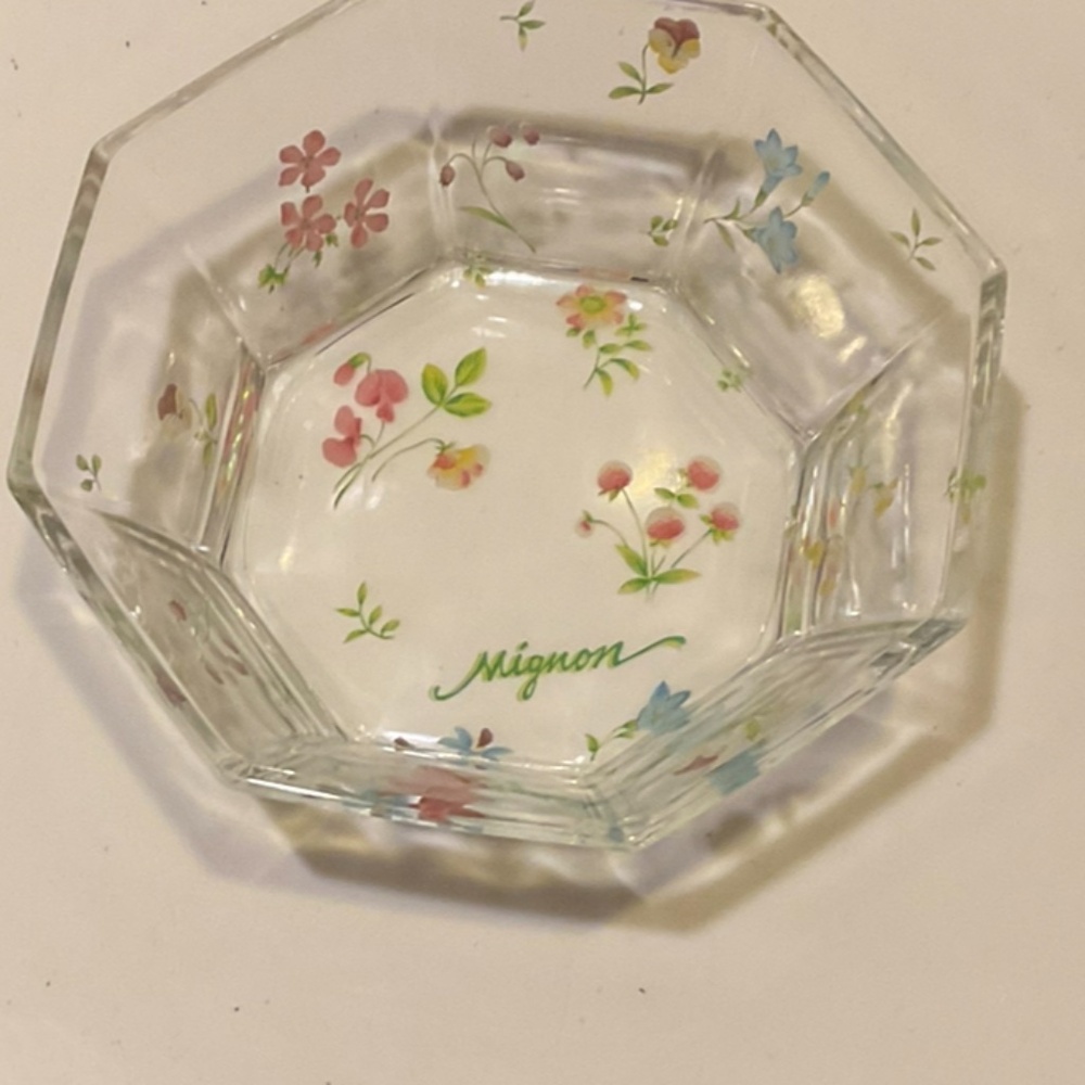 Hand Painted Floral Glass Bowl Set of 5